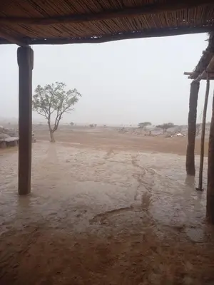 a flooded field with a tree in the background at Segaoui House in Merzane