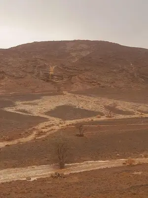 a desert field with a mountain in the background at Segaoui House in Merzane