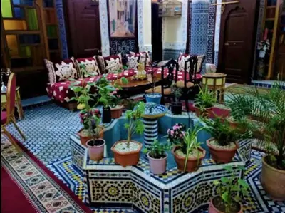 a living room filled with lots of potted plants at Chambres d'Hôtes Hayat in Dar Mahres