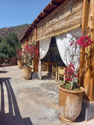 a group of potted plants on the side of a building at KASBAH Jardin des délices Timalizen in Tamzerdirt