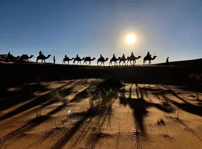 a group of people riding on camels in the desert at Sahara lumière in Mhamid El Ghizlane