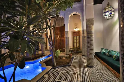 a living room with a pool and a plant at Riad Louna Fes & Spa in Fès