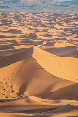 an aerial view of a desert with sand dunes at Merzouga Desert Activities & Events in Merzouga