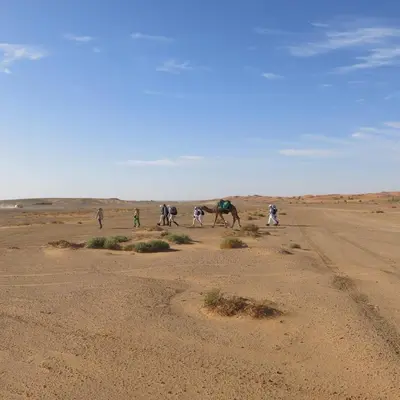 a group of people walking in the desert with a camel at Merzouga Desert Activities & Events in Merzouga