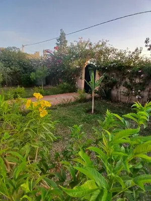 a garden with yellow flowers in front of a building at فيلا رياض عمران in Douar Blidene