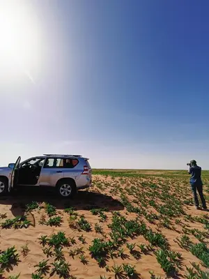 a man taking a picture of a car in the desert at Erg Chegaga Charming Camp in El Gouera