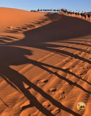 a group of people riding camels in the desert at Morocco wonderland in Merzouga