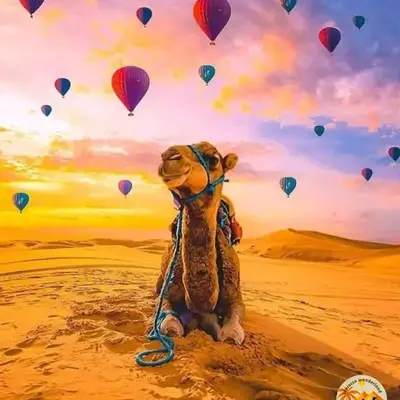 Morocco wonderland