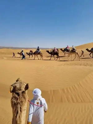 a man standing in front of a camel in the desert at Camp azmamar in Mhamid