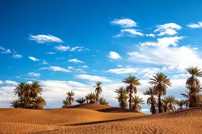 a desert with palm trees and a blue sky at Merzouga Luxury Camp & Activities in Merzouga
