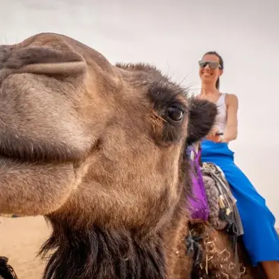 Merzouga Luxury Camp & Activities