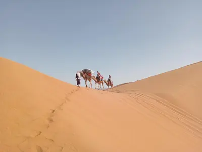 a group of camel riders walking up a sand dune at Canadien camp merzouga in Merzouga