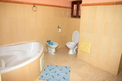 a bathroom with a bath tub and a toilet at Kasbat Dar diafa Tourbist in Kalaat MGouna