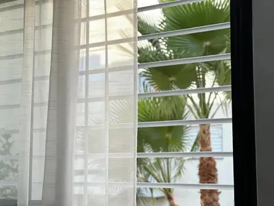 a palm tree is seen through a window at Appartement Moderne & Cosy in Fès