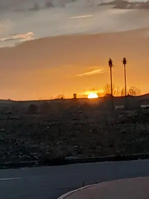 a sunset in the desert with palm trees at Marwan's apartment 2 in Ifrane