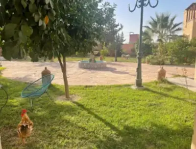 two chickens standing in the grass near a park at Luxury Villa With Large Private Pool in Marrakech