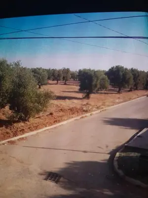 an empty road in the middle of a field at dar hanane in Zaouia Sidi Rahkal