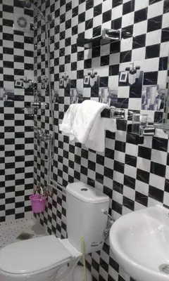 a bathroom with a toilet and a sink at Hôtel La Vallée Des Oiseaux in Boumalne