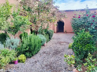 a garden with plants and a building at Ryad-IGRANE in Ouarzazate