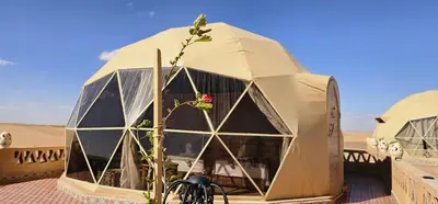 a dome tent with a plant in front of it at Royal Sahara Dome Camp in Merzouga