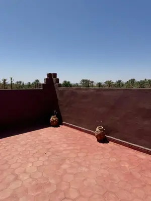 a red brick patio with two potted plants on it at Apparemment de luxe avec terrasse privée in Zagora
