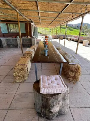 a group of benches with hay on the ground at Scandinavian Chalet in the Atlas Mountains - Ifrane in Ifrane
