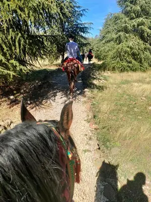 a man riding a horse down a dirt road at Chez Adam in Meknès