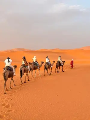 a group of people riding horses in the desert at Sahara binich sercices in Merzouga