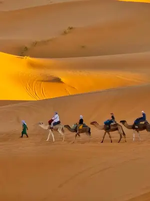 a group of people riding horses in the desert at Sahara binich sercices in Merzouga