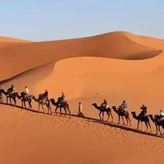 a group of people riding horses in the desert at Sahara binich sercices in Merzouga