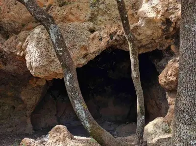 a rock cave with a tree in front of it at Zen environnement Horse riding in Zaouia dʼIfrane