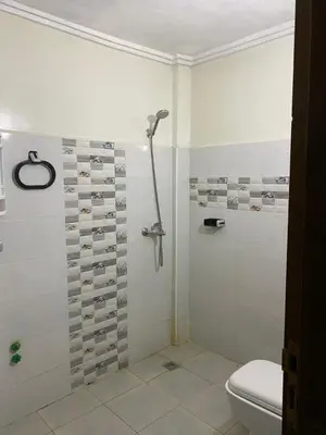 a bathroom with a shower and a toilet at Appart propre et bien situé d in Fès