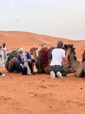 a group of people sitting on camels in the desert at Desert Bliss in Merzouga