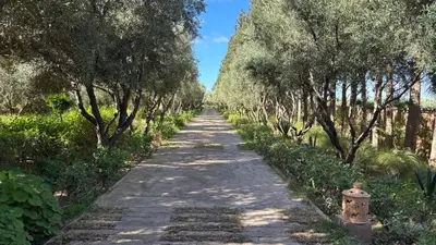 a tree lined path with trees and a fire hydrant at Palais Celoa in Marrakech