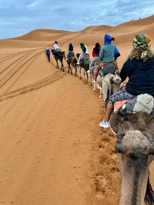 a group of people riding camels in the desert at luna camp merzouga in Merzouga