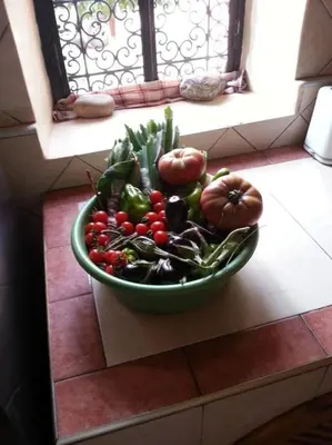 a bowl of vegetables sitting on a window sill at John's Place in Marrakech