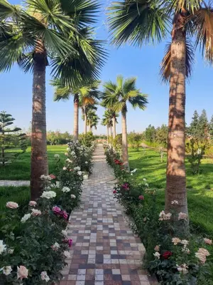 a brick pathway with palm trees and flowers at Superides Camp in Ourika