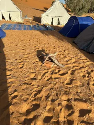 a group of tents on a sandy beach at Time to Discover Wild Camp in Merzouga