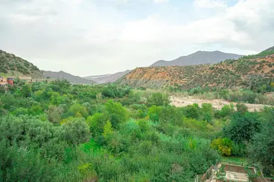 a view of a valley with mountains and trees at Bab Alas apartments N2 in Ourika valley in Ourika