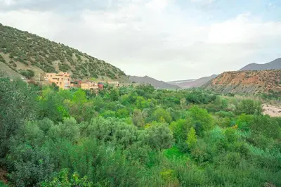a house in the middle of a field of trees at Bab Atas appartment N4 in Ourika Valley in Marrakech