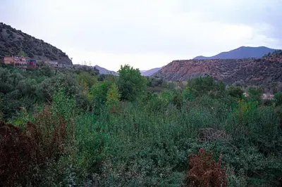 a view of a hill with trees and mountains at Bab Atlas appartment N5 in Ourika valley in Aghbalou