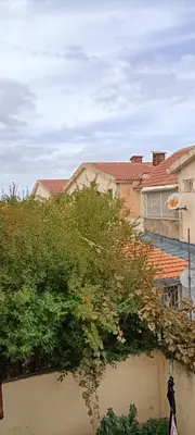 a tree in front of a building with houses at Quartier habri imouzzer kandar in Imouzzer Kandar