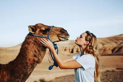 a woman is petting a camel in the desert at merzouga desert camp in Merzouga