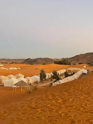 a desert with a group of tents in a field at Sahara Desert Camp in Merzouga