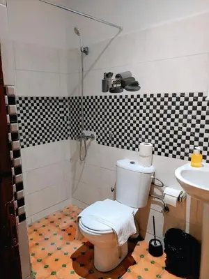 a bathroom with a toilet and a shower and a sink at Dar Abdellah in Fès