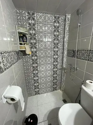a small bathroom with a toilet and a shower at Mchimicha in Fès