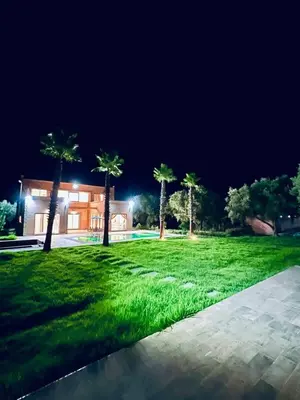 a house with palm trees in a field at night at Villa MK in Aghmat