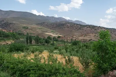 a hillside with trees and mountains in the background at Auberge Sremt in Sremt