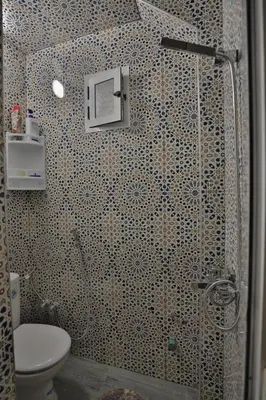 a bathroom with a shower stall with a toilet at Dar Chaima Apartment in Fès