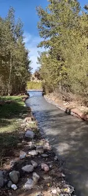 a river with rocks and trees on the side at Gite D'etape Ait Ali Nito Assounfou in Megdaz